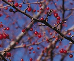 �G�X�e�ōs�����t�g�A�b�v�@